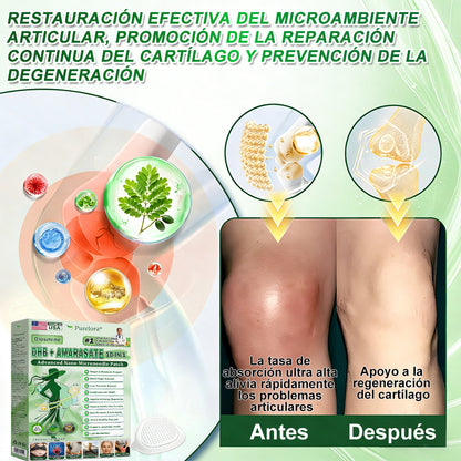 🇵🇷𝐍𝐮𝐞𝐯𝐚 & 𝐌𝐞𝐣𝐨𝐫𝐚𝐝𝐚 𝐅ó𝐫𝐦𝐮𝐥𝐚> 𝐏𝐮𝐫𝐞𝐥𝐨𝐫𝐚® 🏥𝐌𝐚𝐭𝐫𝐢𝐳 𝐌𝐞𝐭𝐚𝐛ó𝐥𝐢𝐜𝐚 – 𝐃𝐇𝐁 + 𝐀𝐦𝐚𝐫𝐚𝐬𝐚𝐭𝐞 𝐏𝐚𝐫𝐜𝐡𝐞 𝐍𝐚𝐧𝐨 𝐌𝐢𝐜𝐫𝐨𝐚𝐠𝐮𝐣𝐚𝐬 𝟏𝟎-𝐞𝐧-𝟏