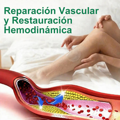 🇵🇷𝐍𝐮𝐞𝐯𝐚 & 𝐌𝐞𝐣𝐨𝐫𝐚𝐝𝐚 𝐅ó𝐫𝐦𝐮𝐥𝐚> 𝐏𝐮𝐫𝐞𝐥𝐨𝐫𝐚® 🏥𝐌𝐚𝐭𝐫𝐢𝐳 𝐌𝐞𝐭𝐚𝐛ó𝐥𝐢𝐜𝐚 – 𝐃𝐇𝐁 + 𝐀𝐦𝐚𝐫𝐚𝐬𝐚𝐭𝐞 𝐏𝐚𝐫𝐜𝐡𝐞 𝐍𝐚𝐧𝐨 𝐌𝐢𝐜𝐫𝐨𝐚𝐠𝐮𝐣𝐚𝐬 𝟏𝟎-𝐞𝐧-𝟏